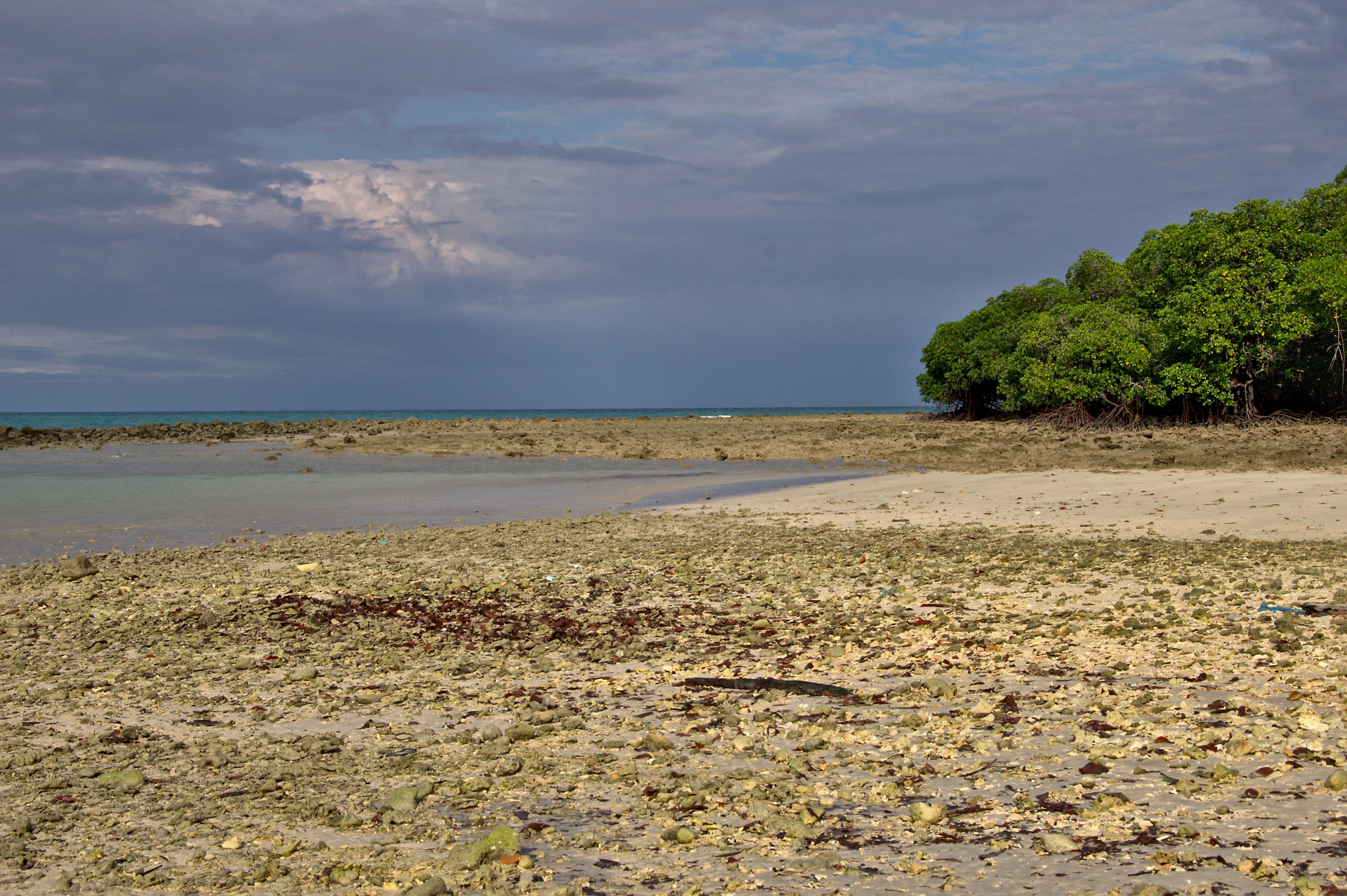 Andaman Islands Pixelfields
